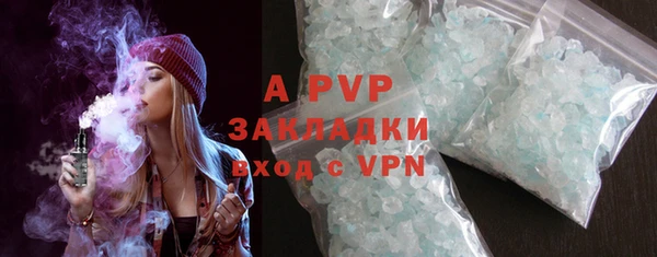 ешки Инта