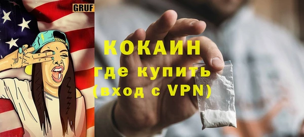 мдпв Инсар