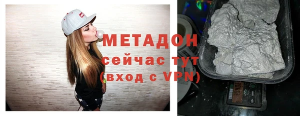 мдпв Инсар