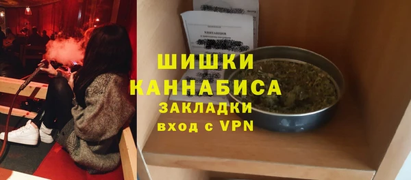 мдпв Инсар