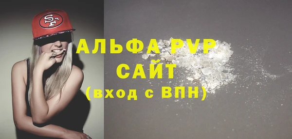 мдпв Инсар