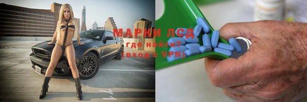 мдпв Инсар