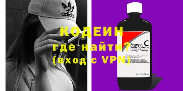 ешки Инта
