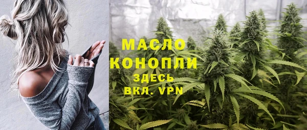 мдпв Инсар