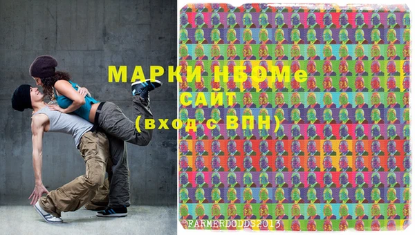 ешки Инта