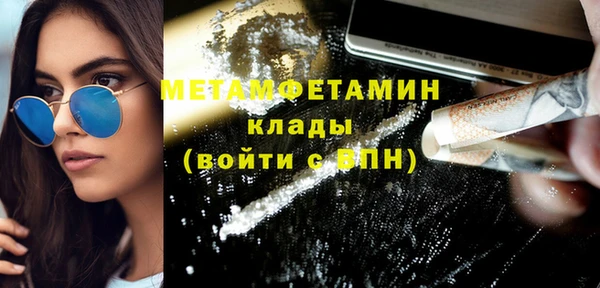 мдпв Инсар