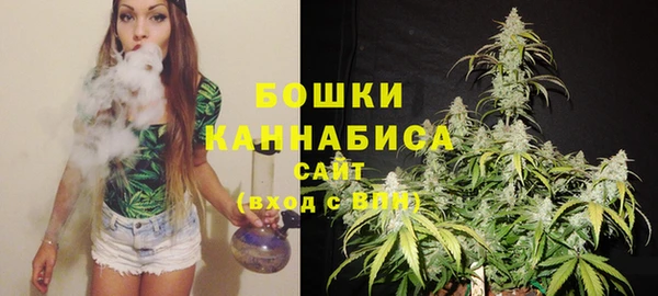 ешки Инта