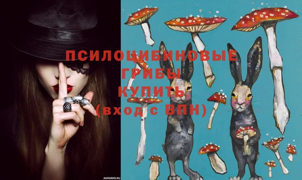 ешки Инта