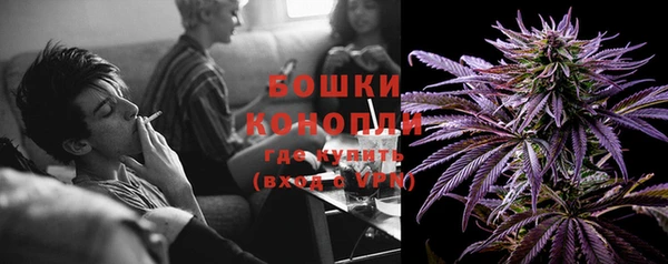 ешки Инта