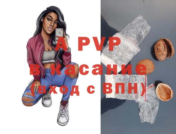 ешки Инта