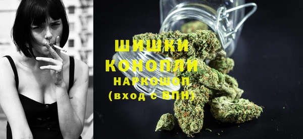 мдпв Инсар