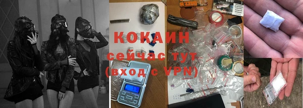 мдпв Инсар