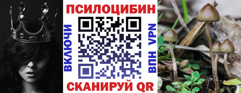 Псилоцибиновые грибы GOLDEN TEACHER  Купить закладки  Новоалександровск 
