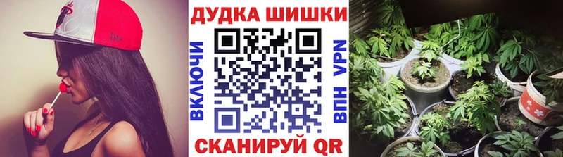 Бошки Шишки ГИДРОПОН Купить Новоалександровск